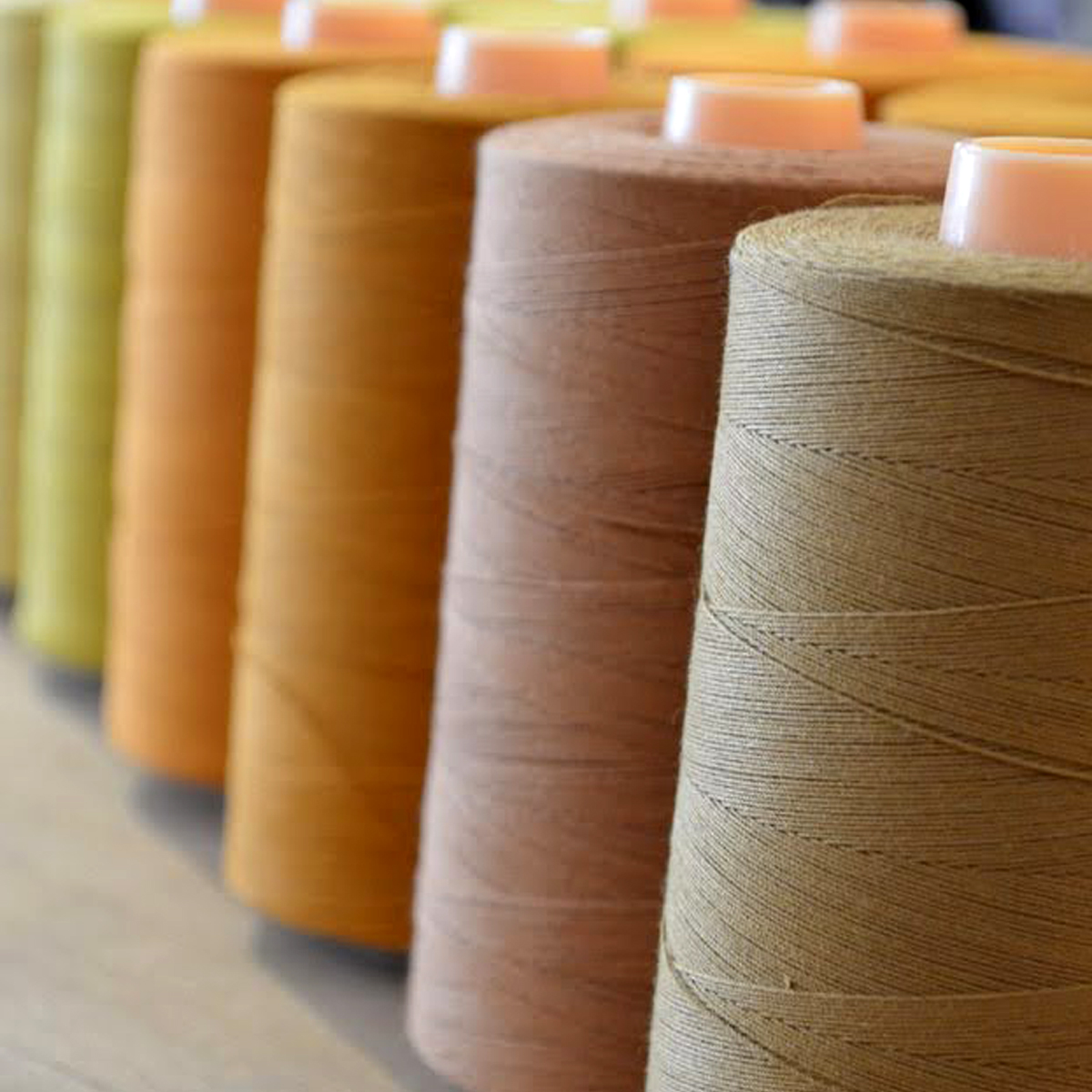 こだわりへの証