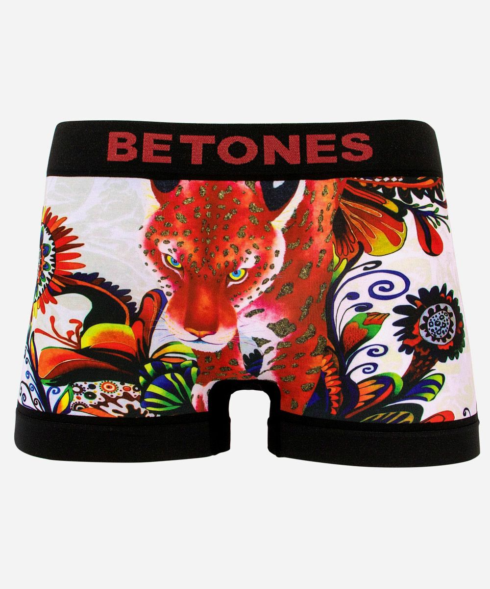 BETONES Fujiyoshi Brother's｜MFU003 | VDS BIRDS EYE