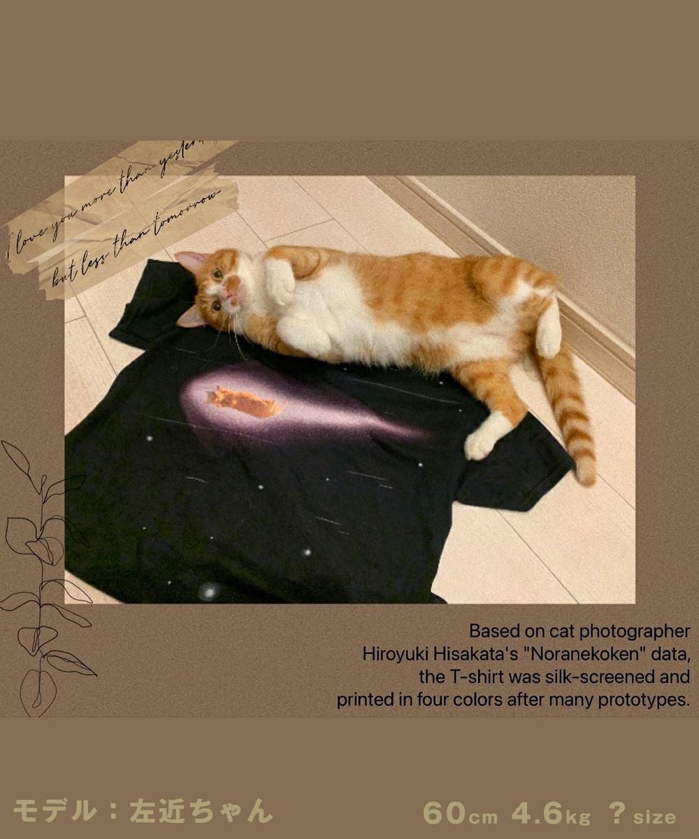 GYPSY CAT ジプシーキャット 流星猫 久方広之 Tシャツ 猫写真家 宇宙猫