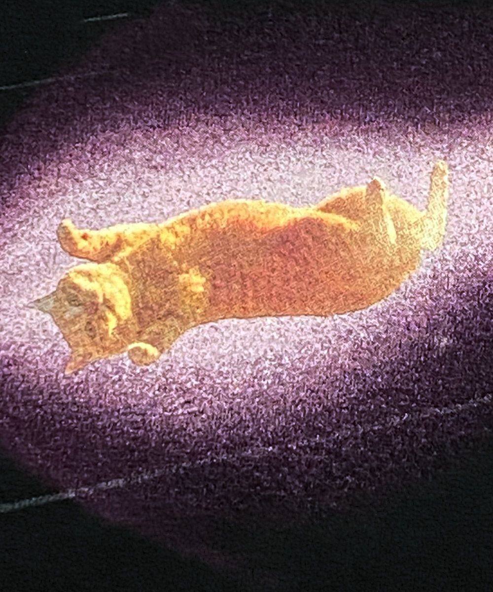 GYPSY CAT ジプシーキャット 流星猫 久方広之 Tシャツ 猫写真家 宇宙猫
