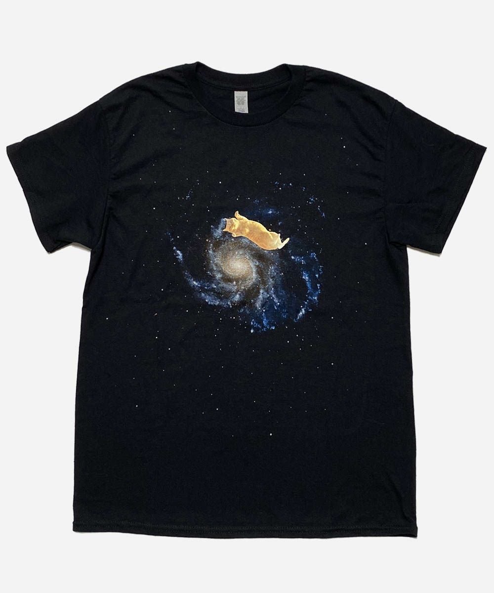 GYPSY CAT×久方広之 銀河猫 Tシャツ | VDS BIRDS EYE