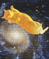 GYPSY CAT ジプシーキャット 銀河猫 トートバッグ 宇宙猫