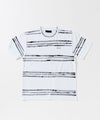 ACANTHUS アカンサス ボーダーTシャツ