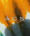 ACANTHUS アカンサス タイダイ ムラ染め Tシャツ