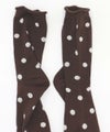 ROSTER SOX ロスターソックス 靴下 男性用 女性用 メンズ レディース ペアソックス ドット柄
