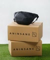 ANINSANE アンインセイン ボディバッグ 雑誌BIGIN ビギン 掲載