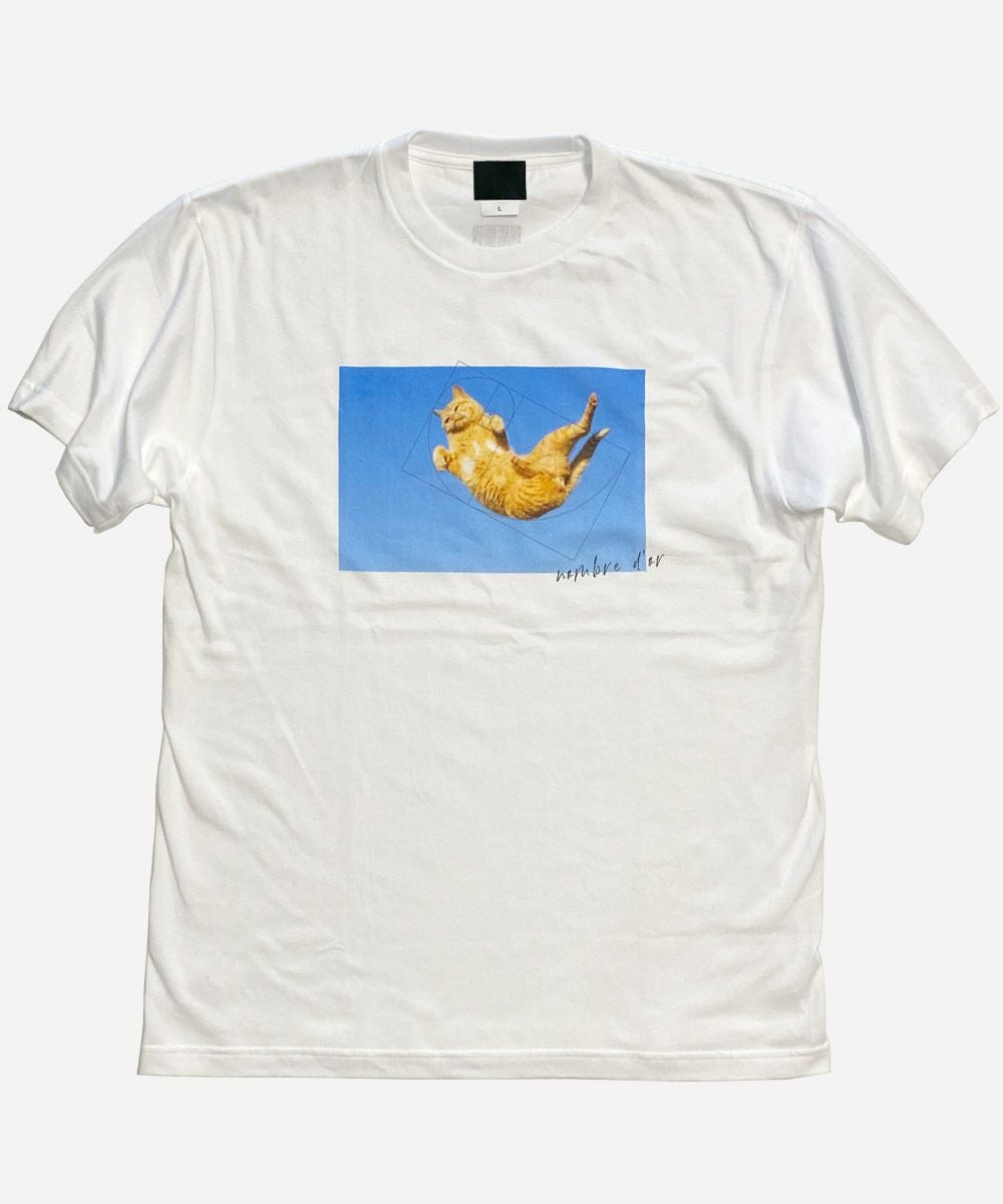 bootlab ARC'TEXAS TEE | VDS BIRDS EYE