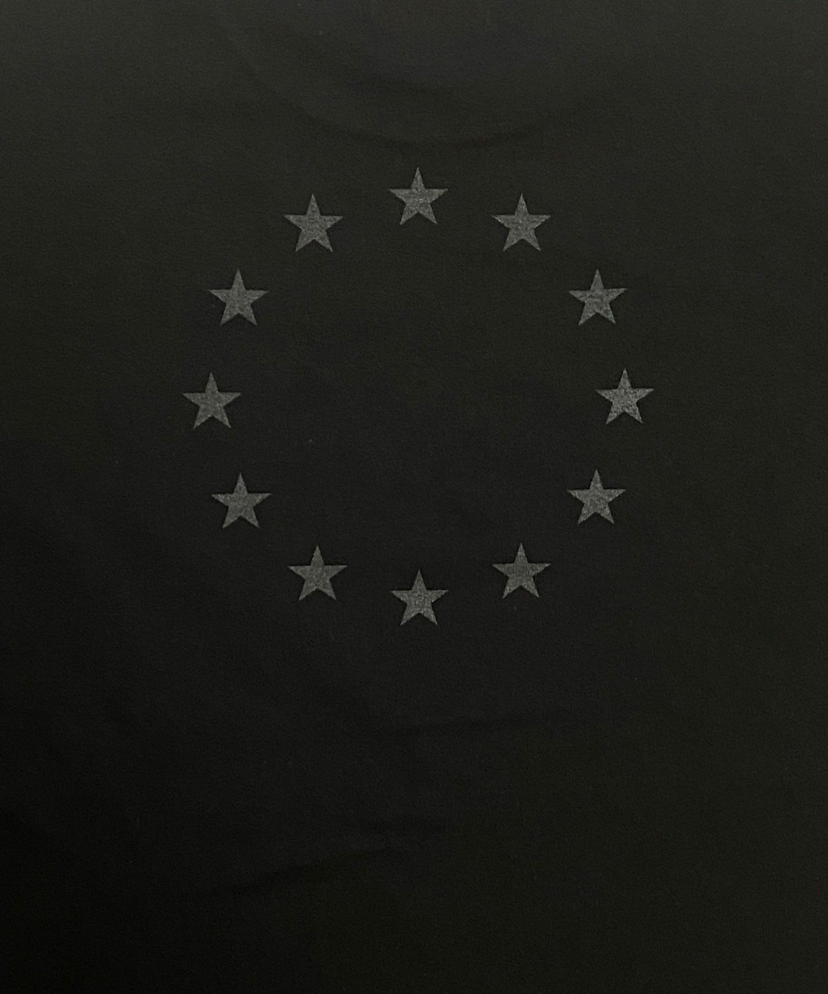 VDS VARMY Tシャツ