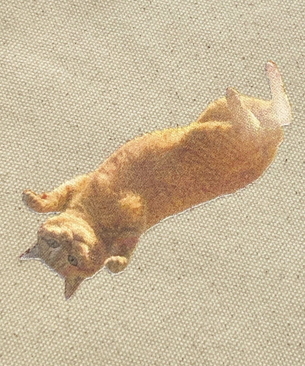 GYPSY CAT×久方広之 虚無猫 ストレイサコッシュ のら猫拳 猫写真家 コラボレーション