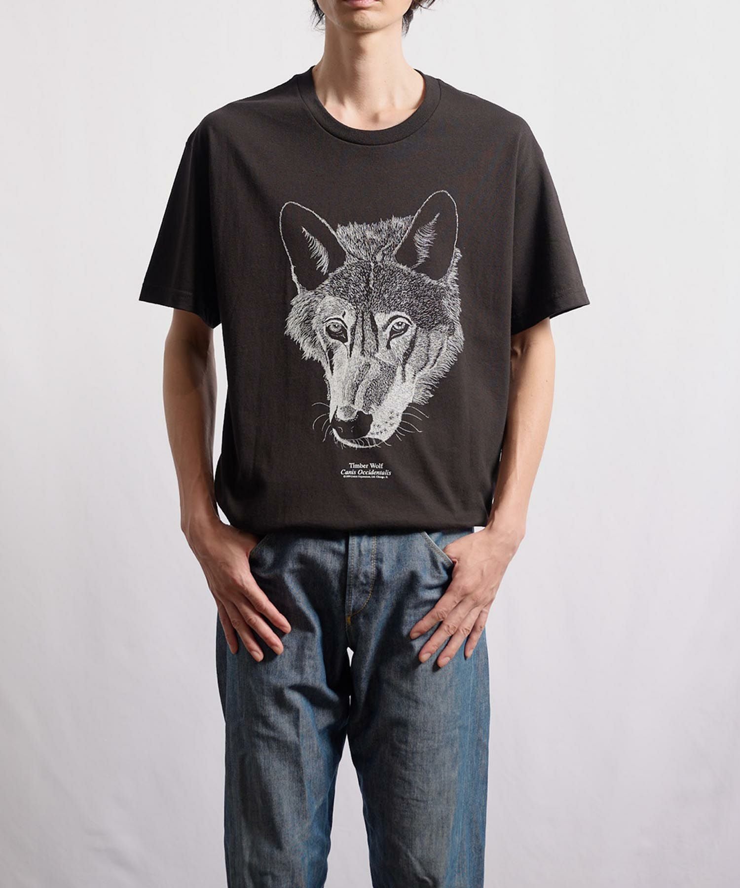 COTTON EXPRESSIONS Wolf Tシャツ | VDS BIRDS EYE