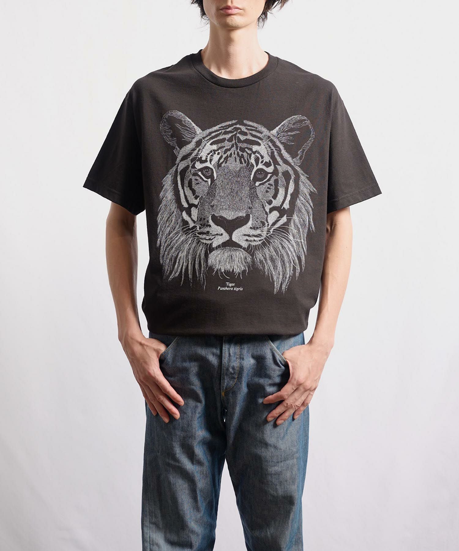COTTON EXPRESSIONS Starry Night アインシュタイン Tシャツ | VDS