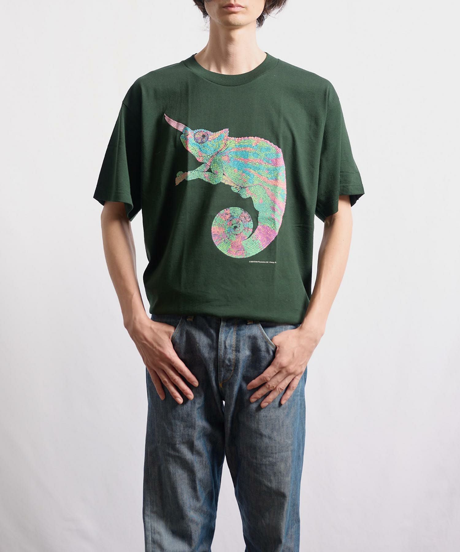 COTTON EXPRESSIONS Chameleon カメレオン Tシャツ | VDS BIRDS EYE