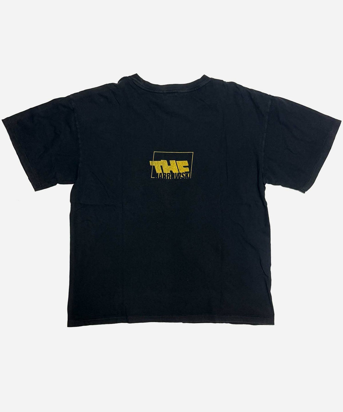 minami Anderson ミナミアンダーソン Tシャツ グラフィック
