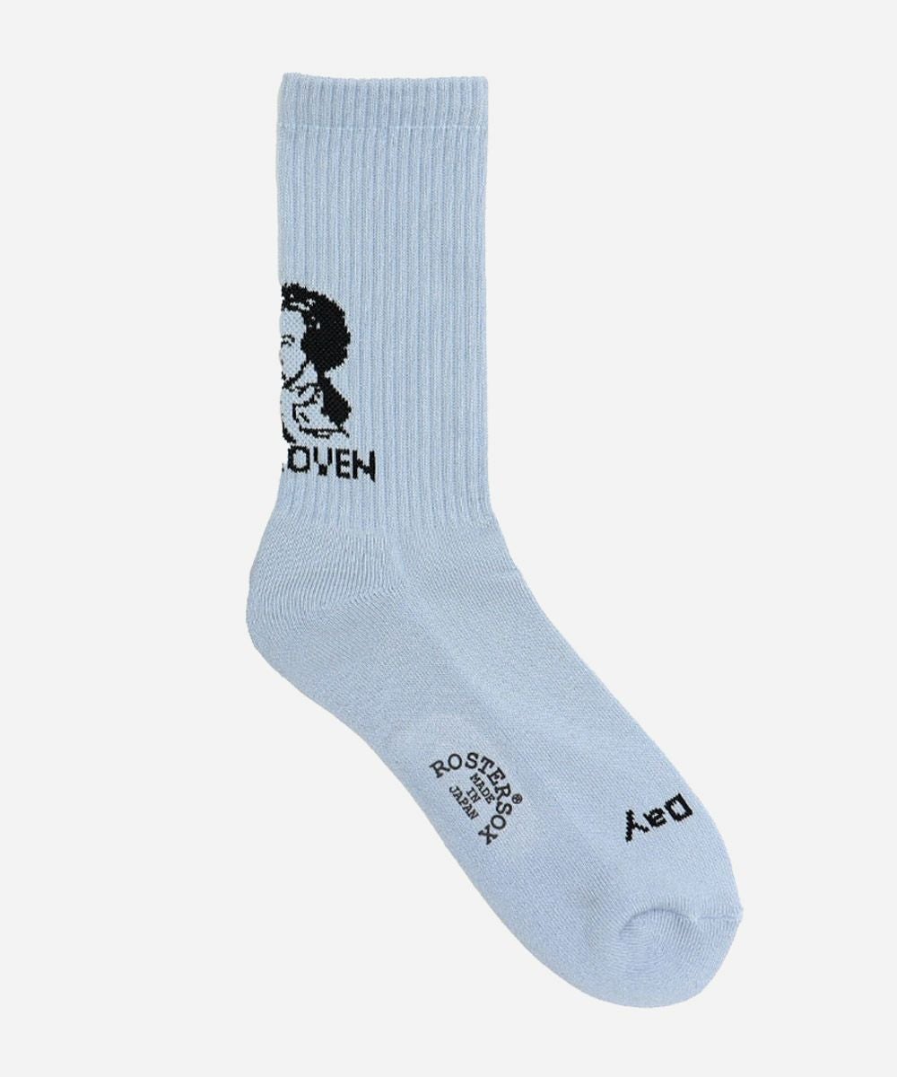 ROSTER SOX ベートーベン ソックス｜RS-476 | VDS BIRDS EYE