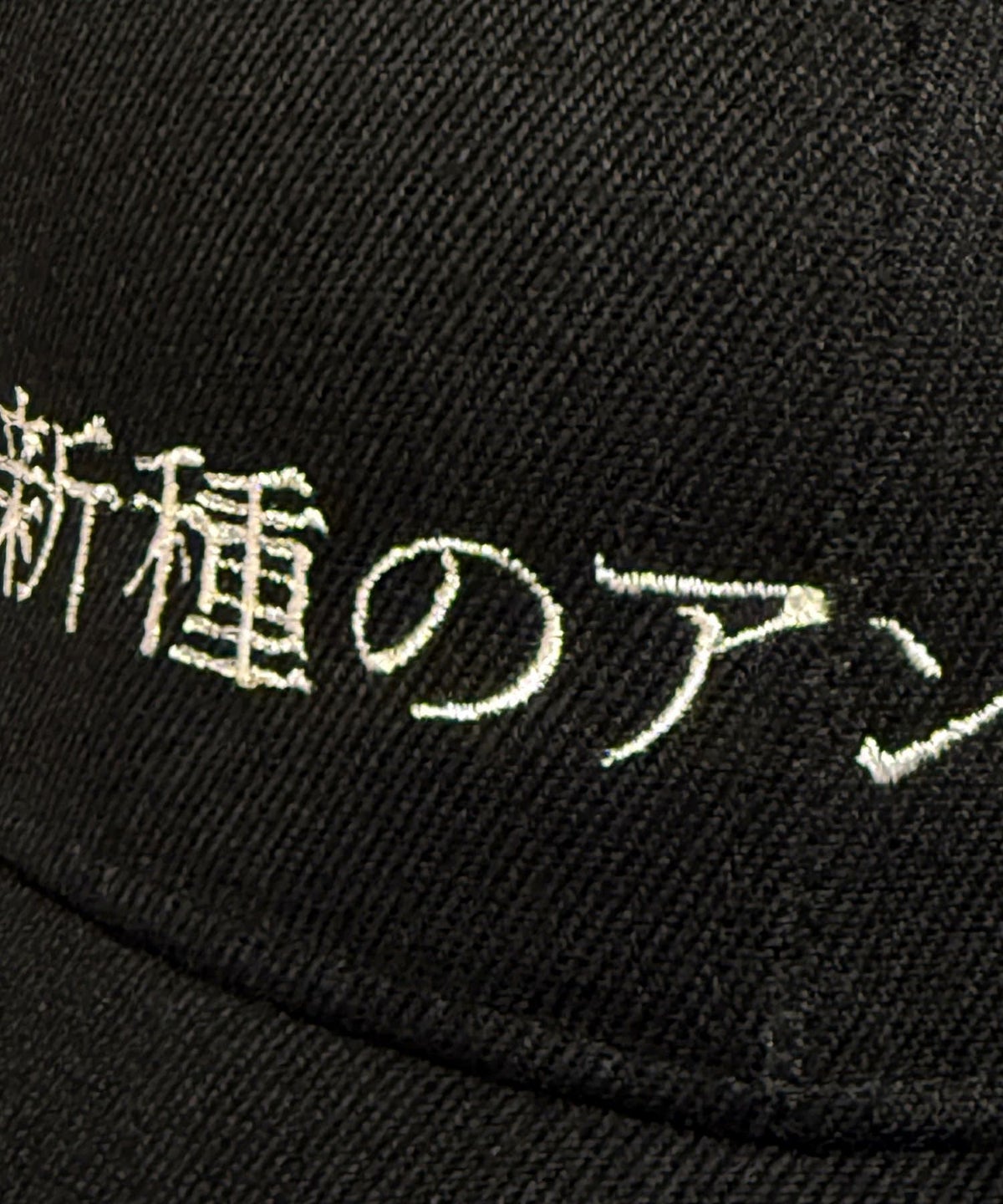 新種のアンモナイト キャップ 日本語刺繍